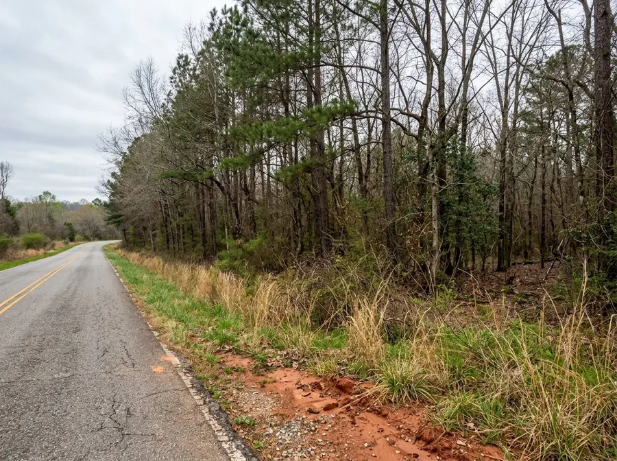 A wooded vacant lot with clear frontage onto a two lane county road.