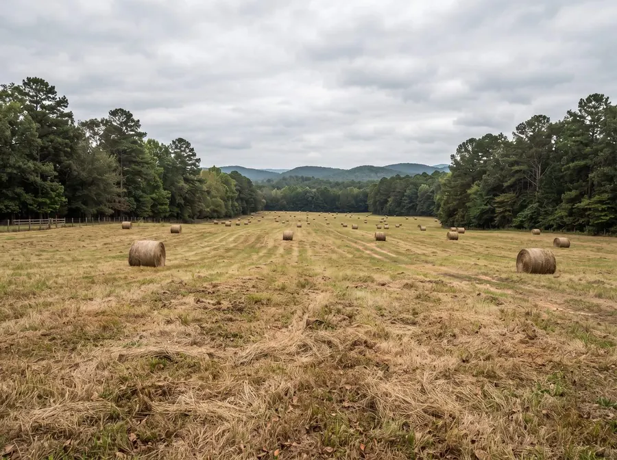 A wide open field of cut hay with a treeline on three sides and low hills on the horizon.