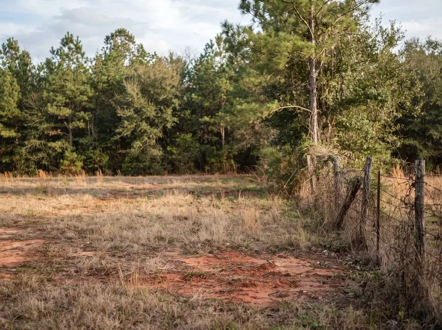 A vacant wooded lot in rural Alabama, red clay showing through patchy grass with a treeline of pines behind it.